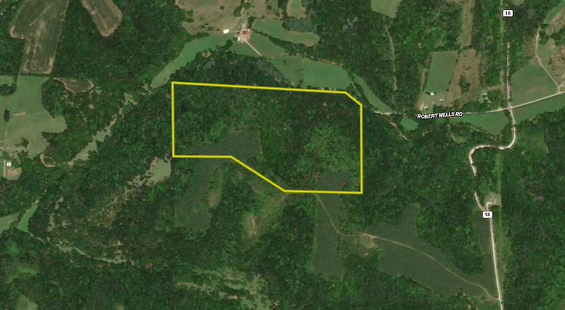 Screenshot 2024-08-26 at 3.03.38 PM