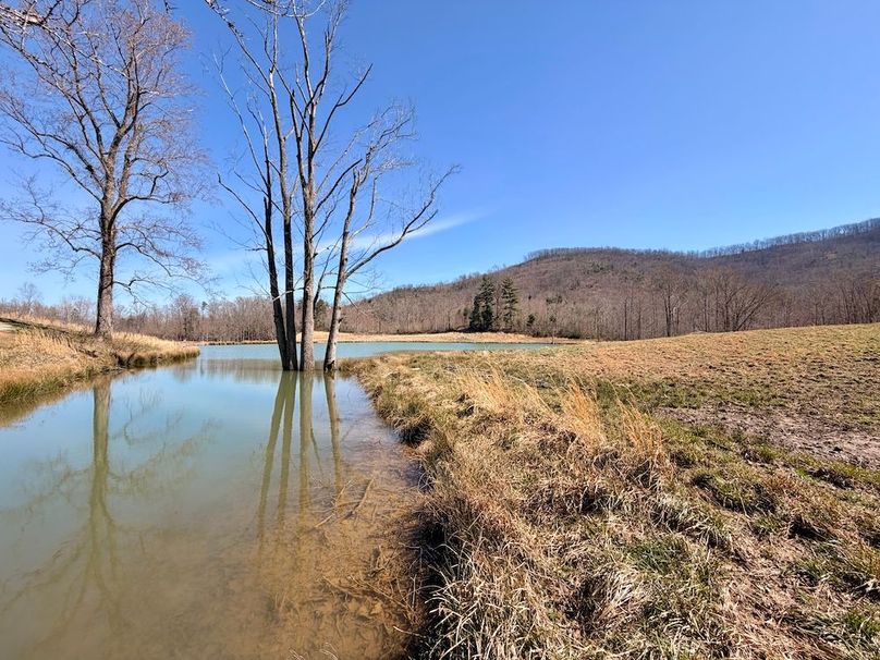 Morgan Co TN 310.833 Schneller_66