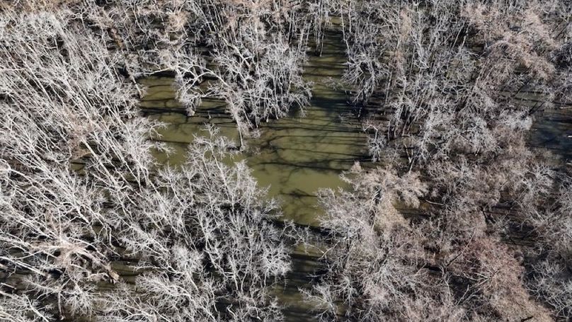 swamp20260501_0220