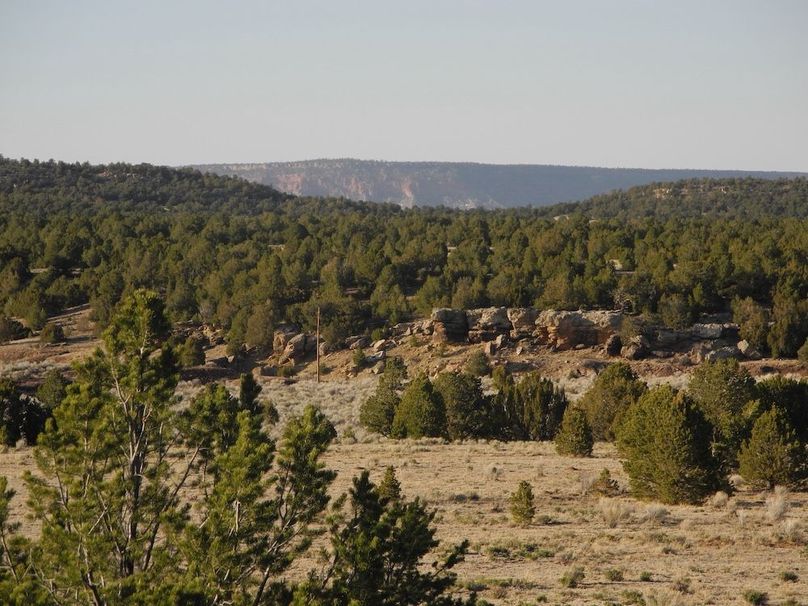 53_Pratt landscape 9