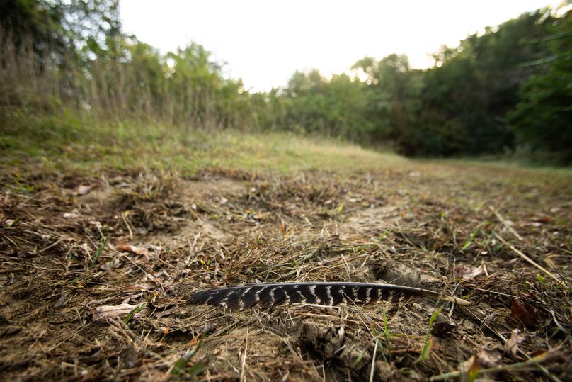 FREMONT CO. IA 158.32_21