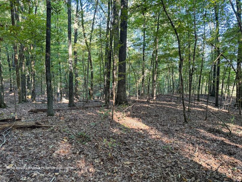 DeSoto 109 Prewett -34