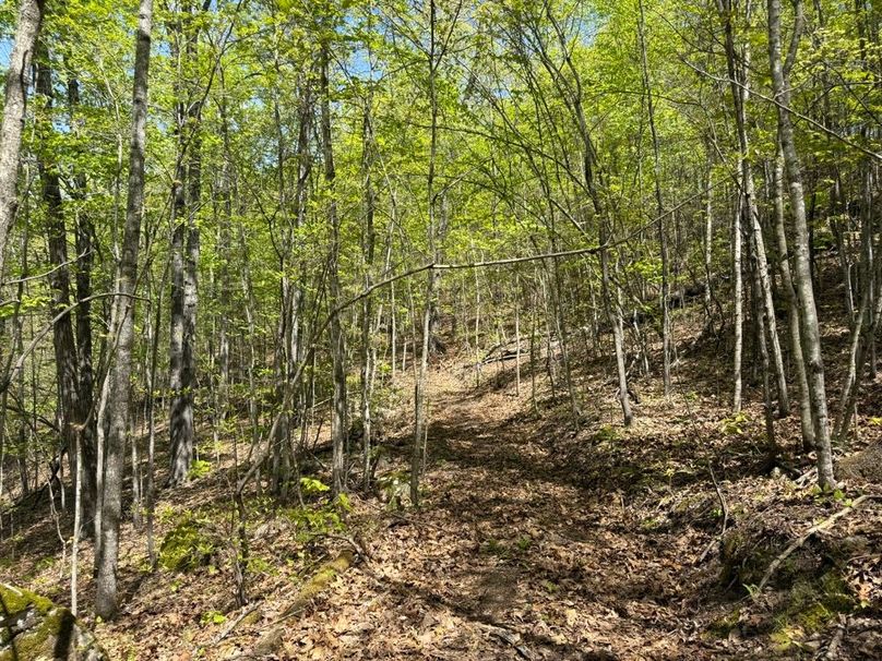 028 even more of the trail system on the landscape