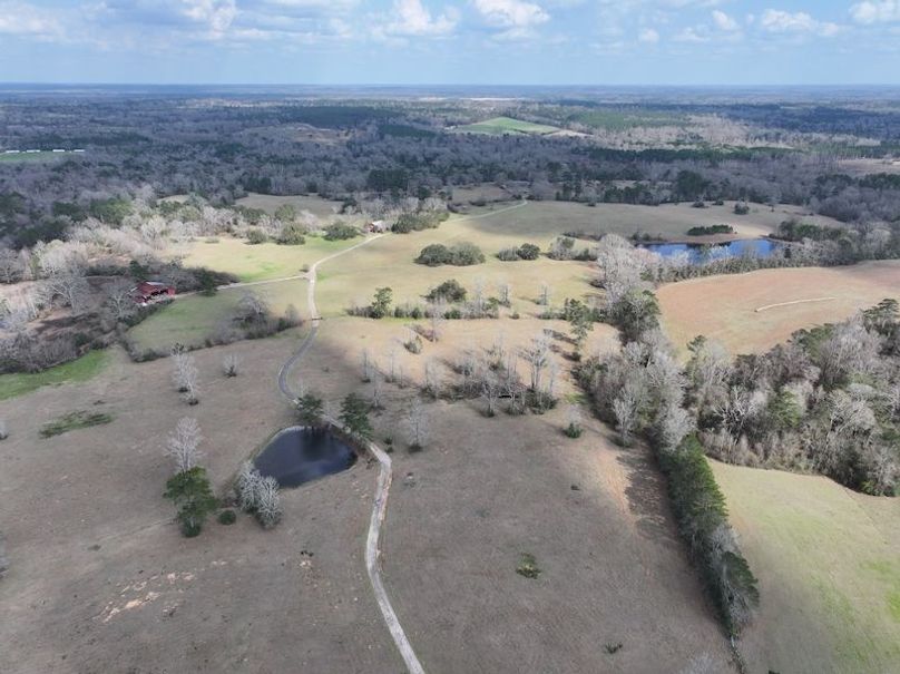 dji_fly_20260220_130552_0211_1771640791820_photo