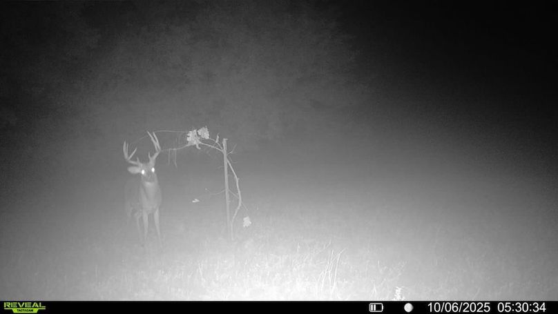 016579000173638-40-3-10062025053034-v-syfw08130