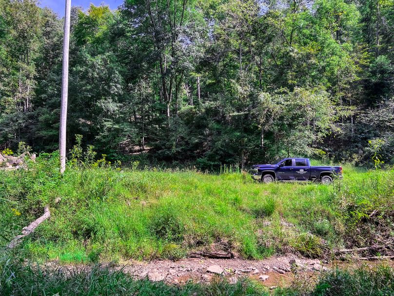 Calhoun, WV 101.8 AC Holly -06