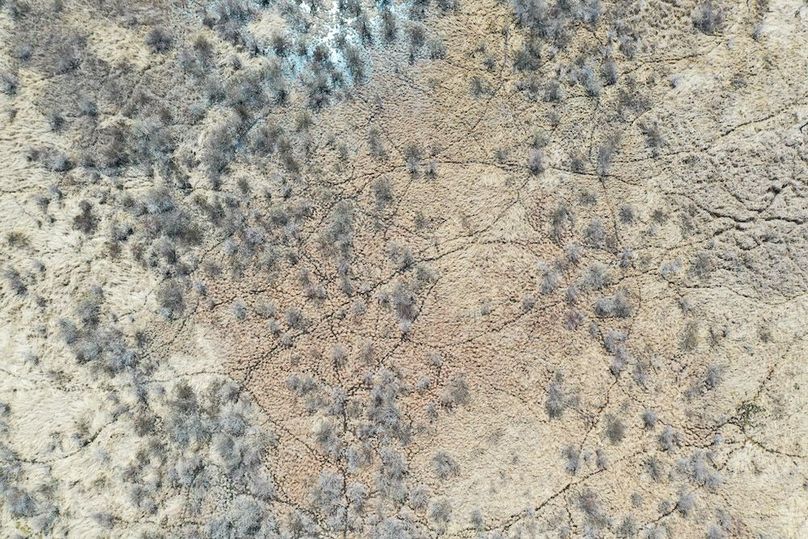 DJI_0276