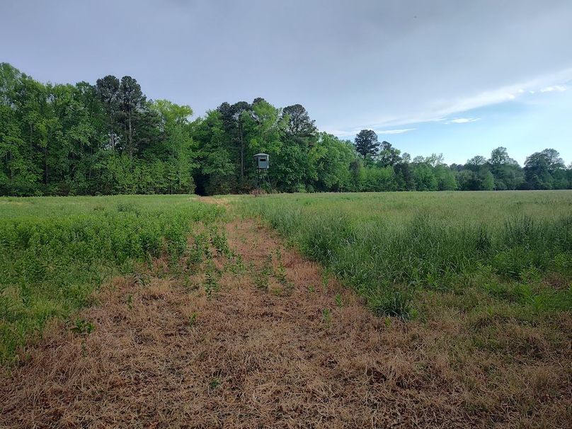 IMG_20260424_172613185_HDR