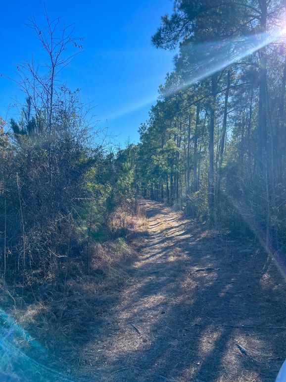 Pender NC 382 - Edits-54