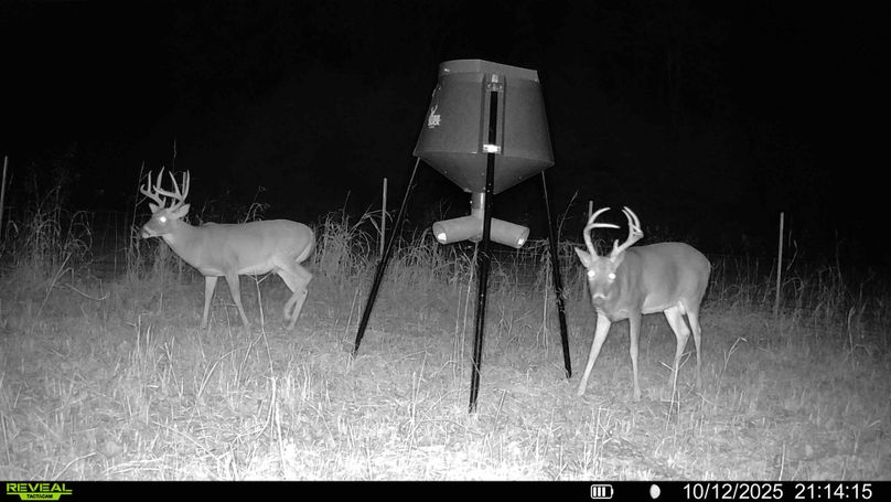 016687000322244-61-4-10122025212216-HD-SYFW00875