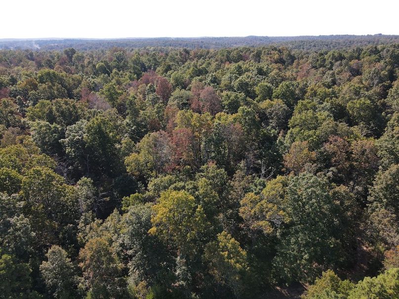 dji_fly_20250902_095202_712_1756824733456_photo