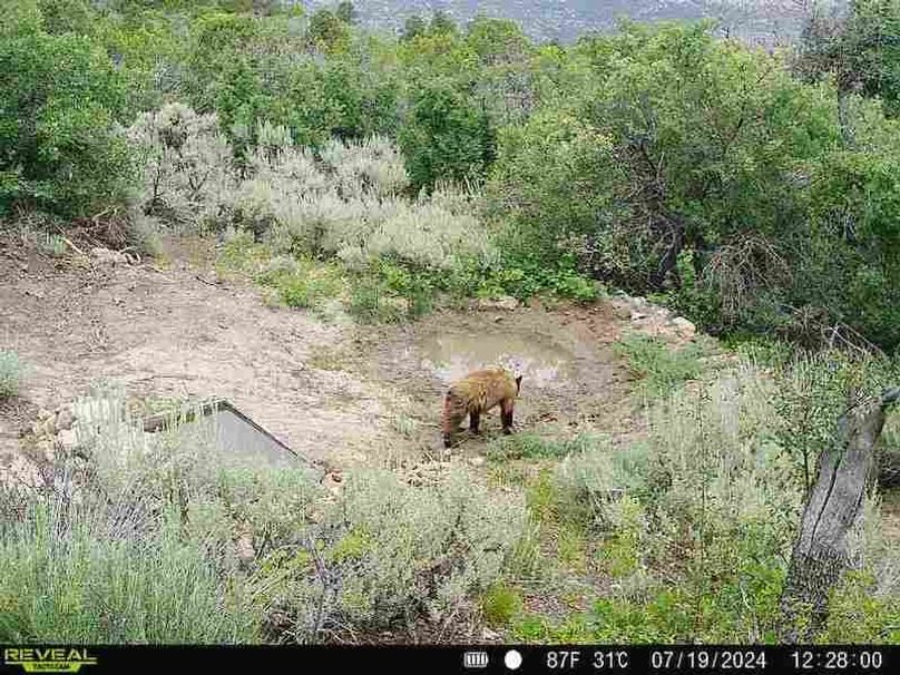 860516060007964-100-2-07192024122800-V-W1002046