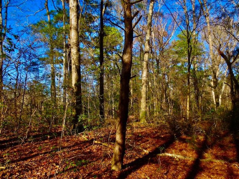 DAE2F6FA-1067-45CA-91C0-6517FBCBF213_1_105_c