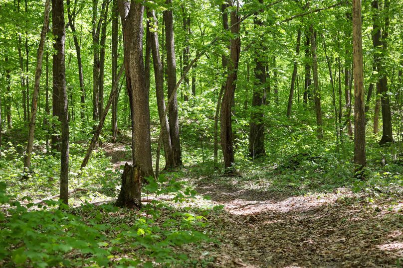 Chippewa85Knowles-5639