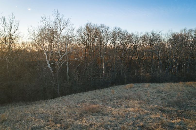 DJI_20260228065923_0279_D