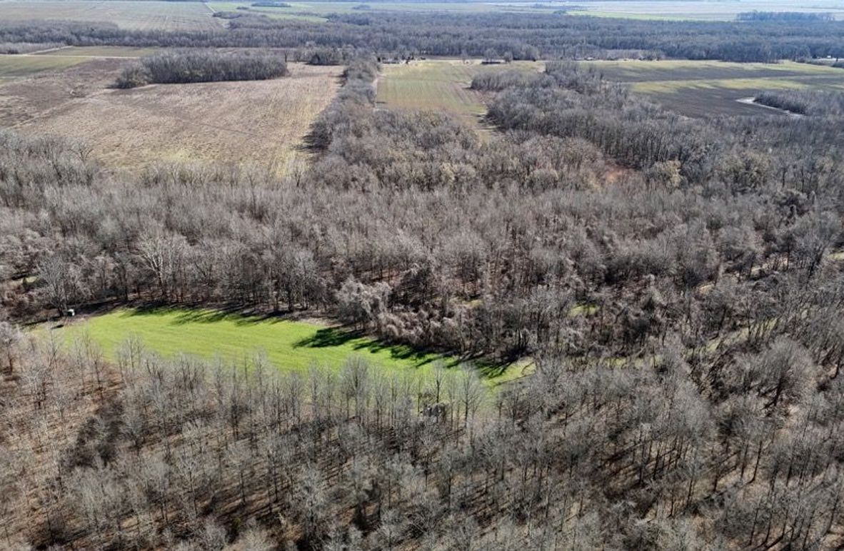 DJI_20260208012433_0968_D