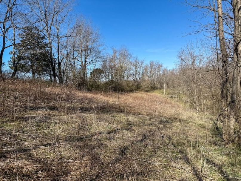 Fleming Petry 115-50