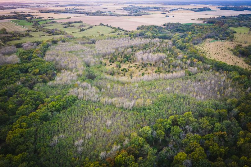 DJI_20251020175944_0161_D-HDR