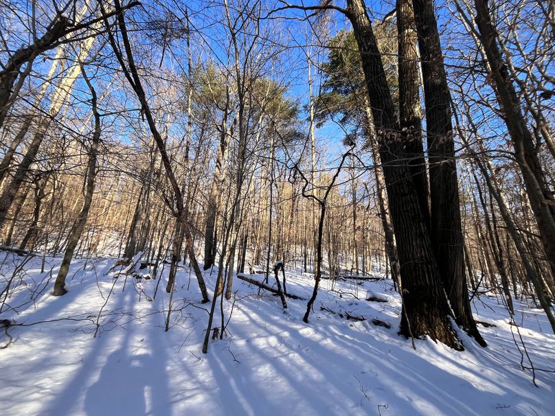 Tioga_11.9_Kilroy_Photos_20