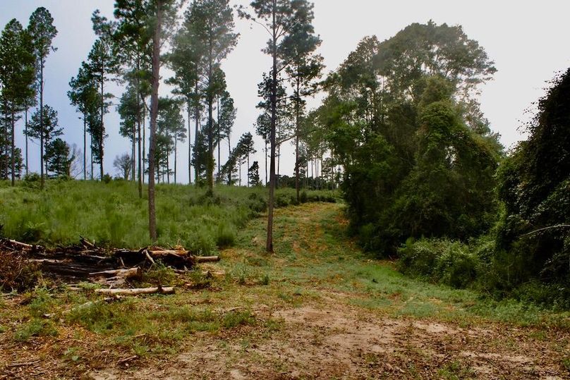 59D33507-536A-4703-B987-257BD562F305_1_105_c