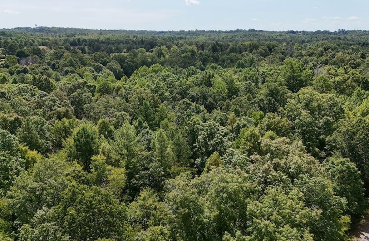 DJI_20250728112122_0140_D