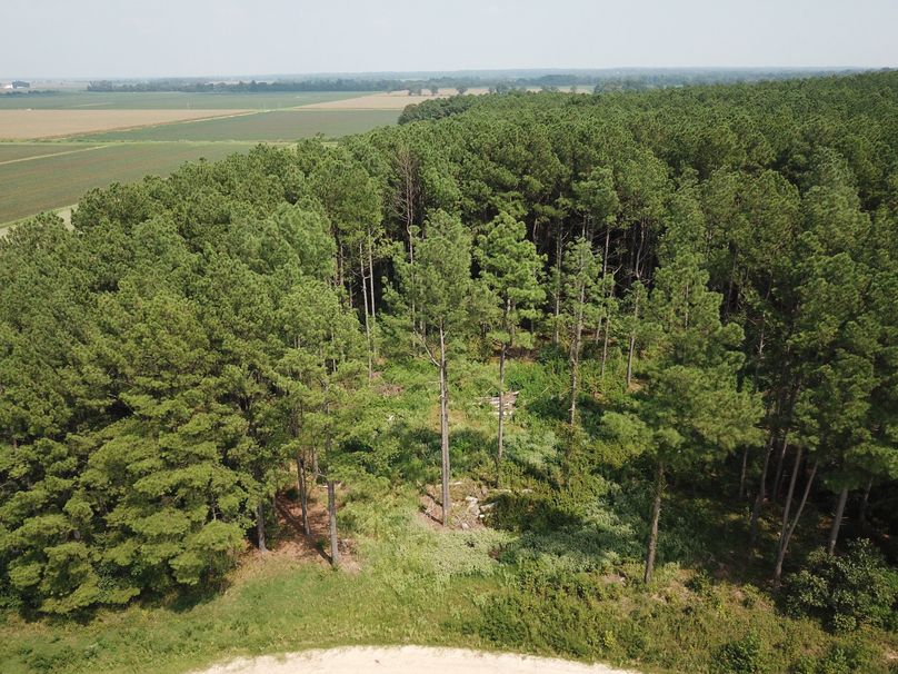 DJI_0049