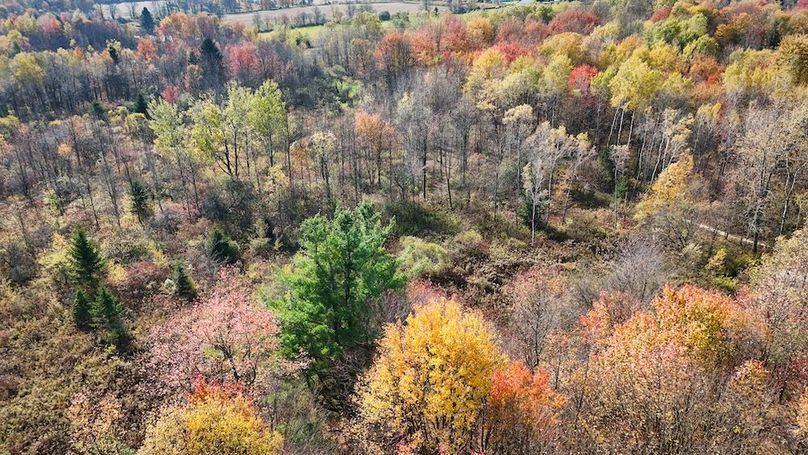 DJI_20251019122359_0756_D