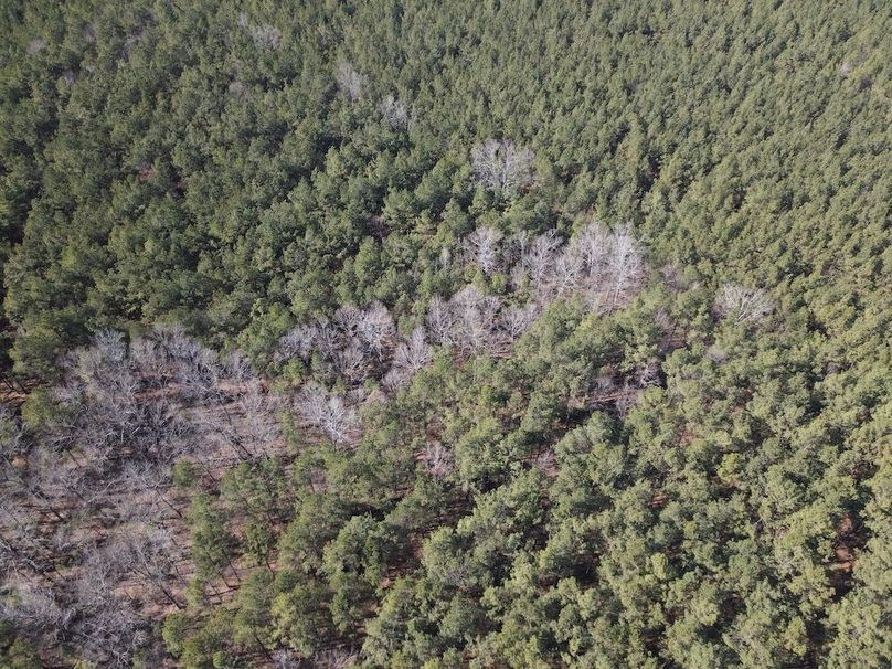 DJI_0250