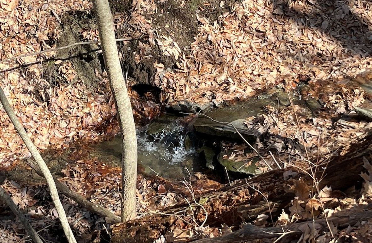 Ontario_9.6_Powell Photo 4