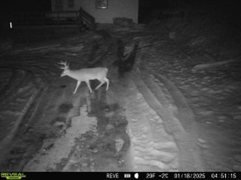 2359F799-61D9-45E6-BF1F-1E61D5AAE38B_4_5005_c