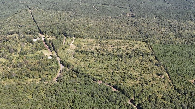 DJI_20250924040343_0754_D