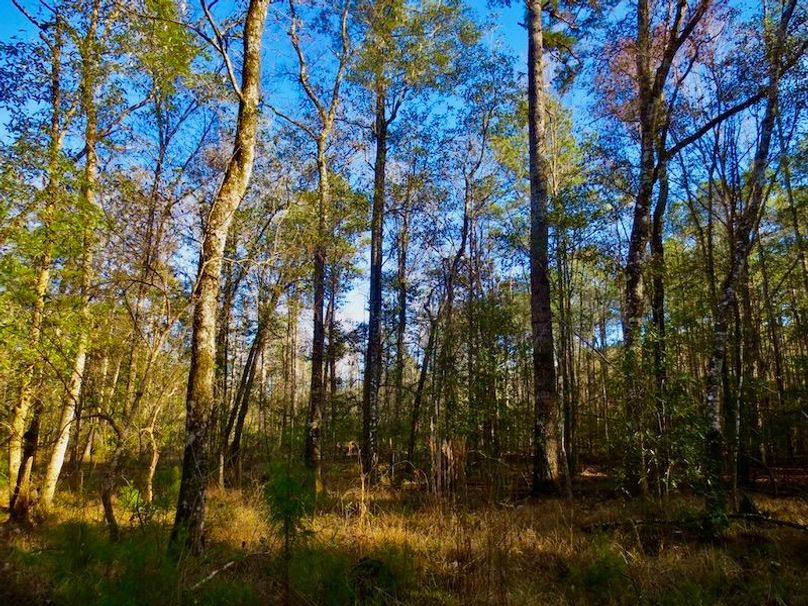 B2B6E06E-8CBA-4E57-A78D-BB23CD3DC936_1_105_c