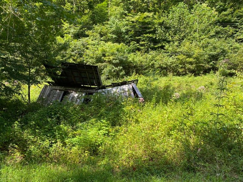 017 remnants of old structure in the middle area of the property