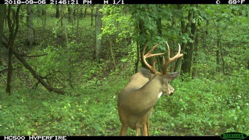 2018-09-06 14-46-21 M 1_1