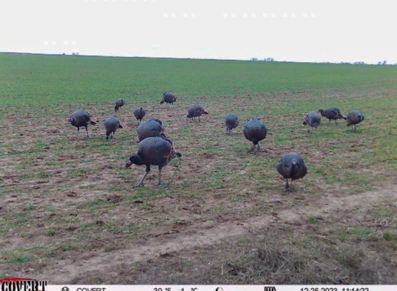 Screenshot_20231225_122508_CovertWireless