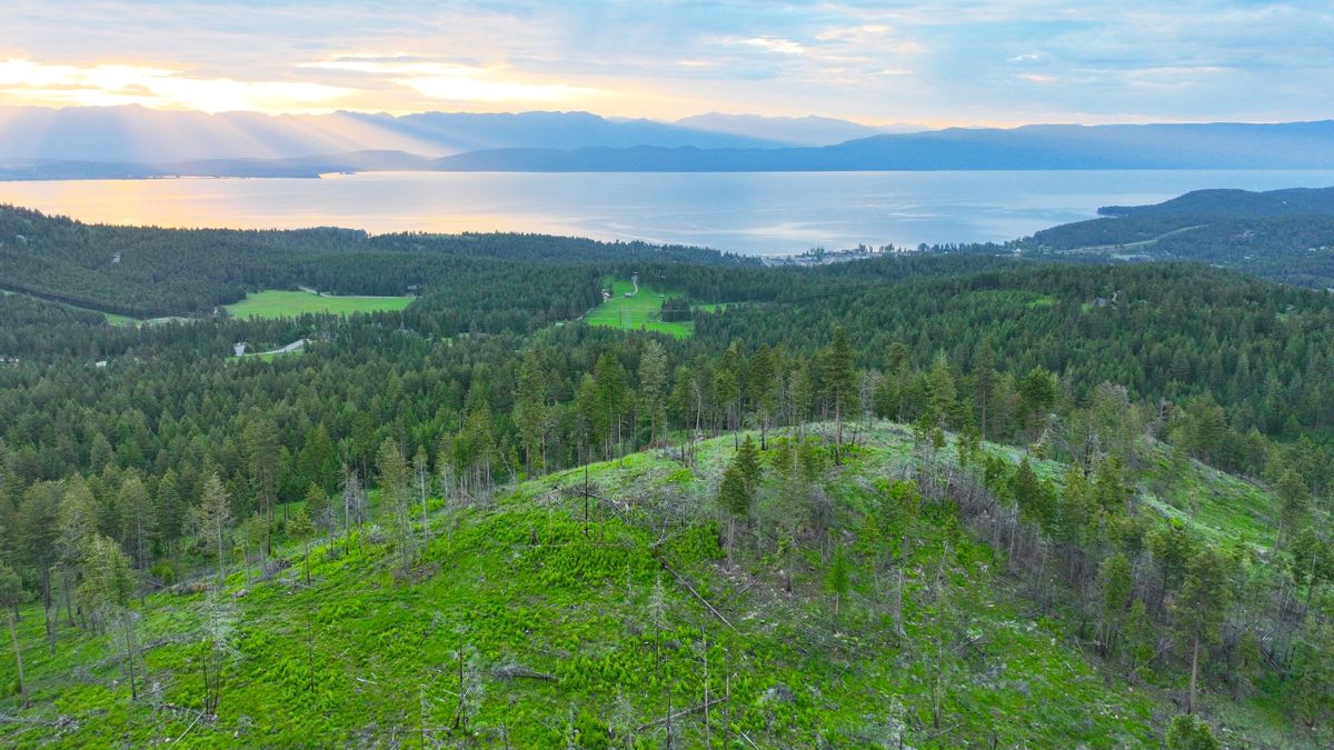 Large Acreage Property Overlooking Flathead Lake Whitetail Properties