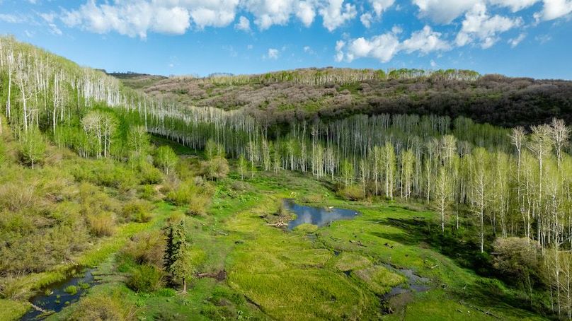 DJI_0633-HDR