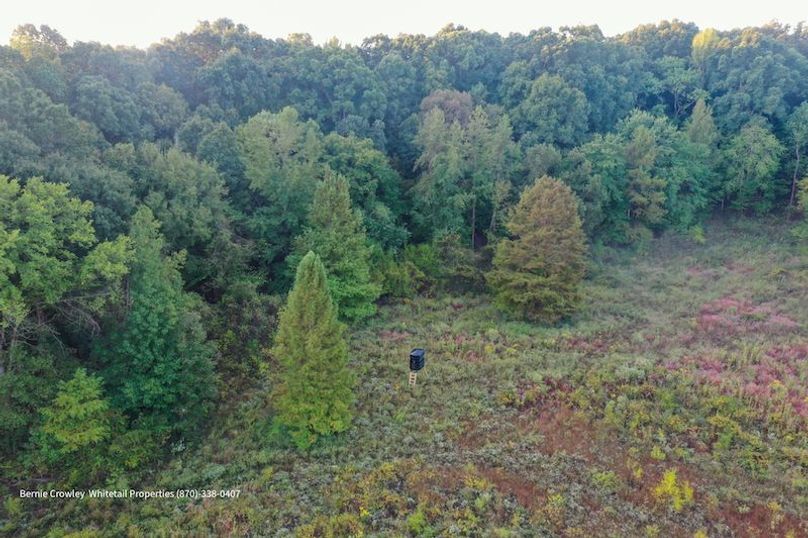 DeSoto 109 Prewett -17