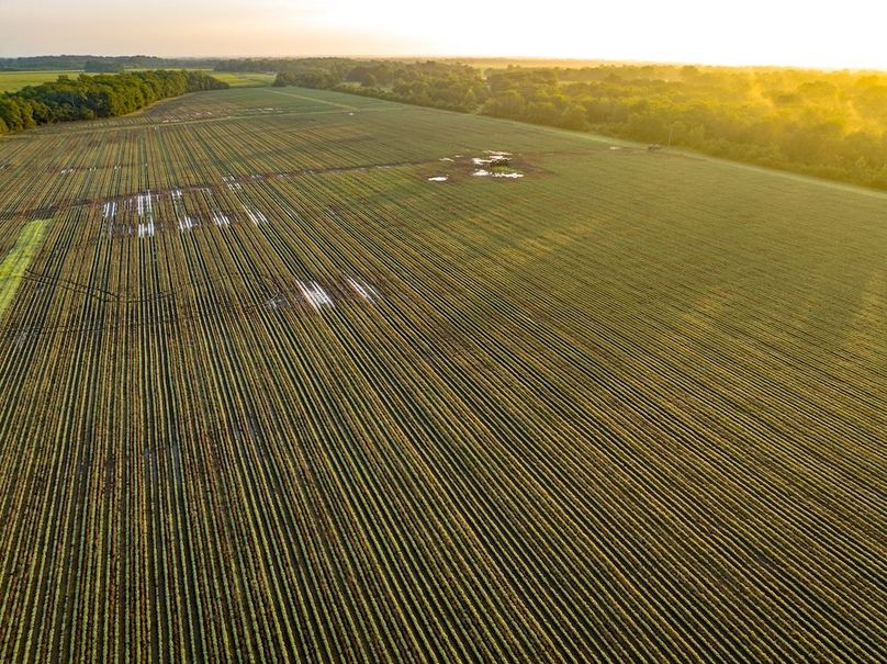 Copy of Noxubee 40 Tract 2-11