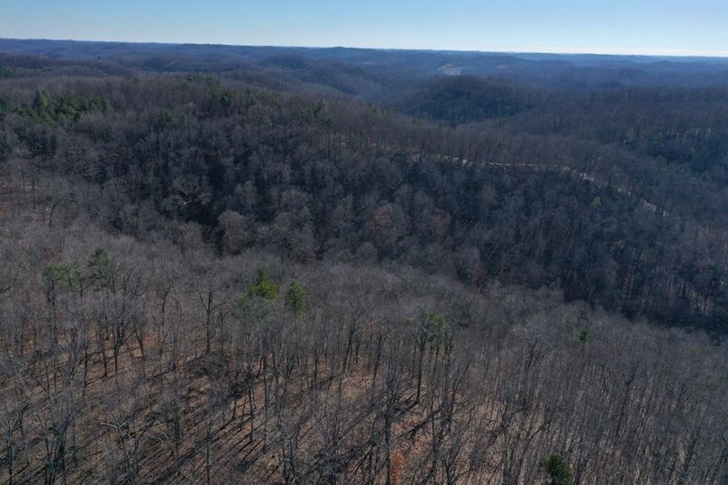 021 aerial drone shot from the northeast boundary looking south into the body of the property