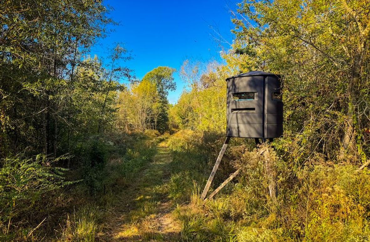 Clay 302.7 Henderson-05