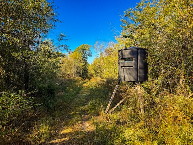 Clay 302.7 Henderson-05