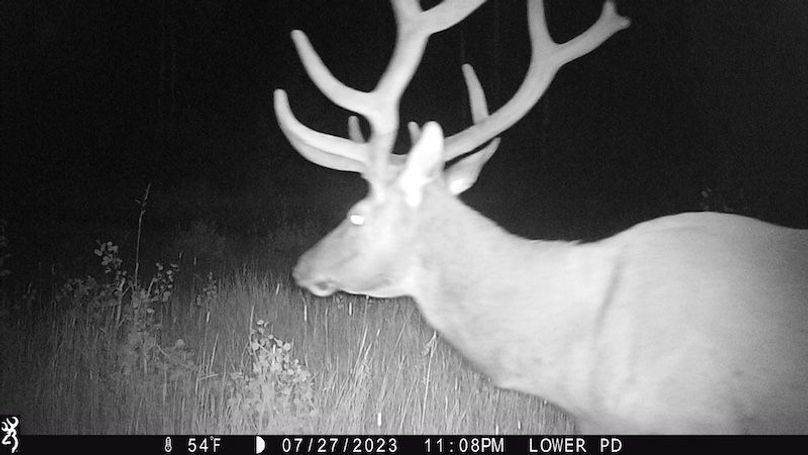 79797530-352A-41D5-86B4-4B52094AA7C0