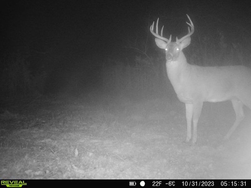 860322065128164-1-4-10312023051530-V-W1004723