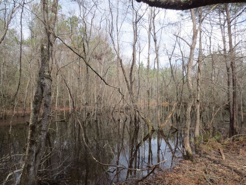 D3DC890B-B2B7-4007-87EA-18352CB37B93_1_105_c