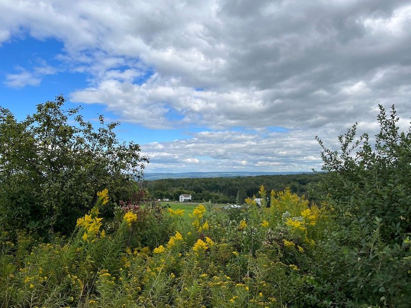 Schuyler_42.08_Austin Photo 14