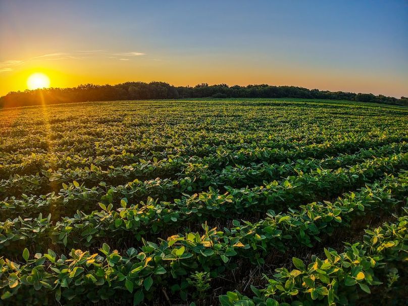 DJI_20250816070425_0725_D