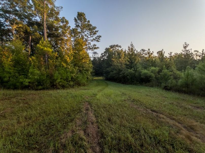 Madison Co - 40 - Clerk-07