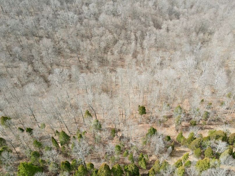 5dji_fly_20240304_113250_474_1709569987351_photo