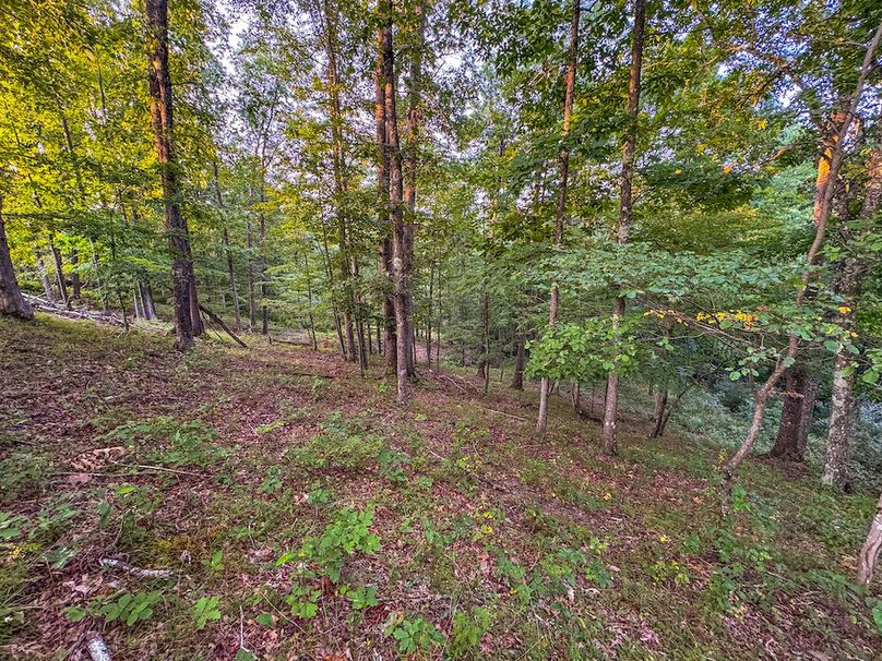 Ritchie, WV 127 AC Robinson-44